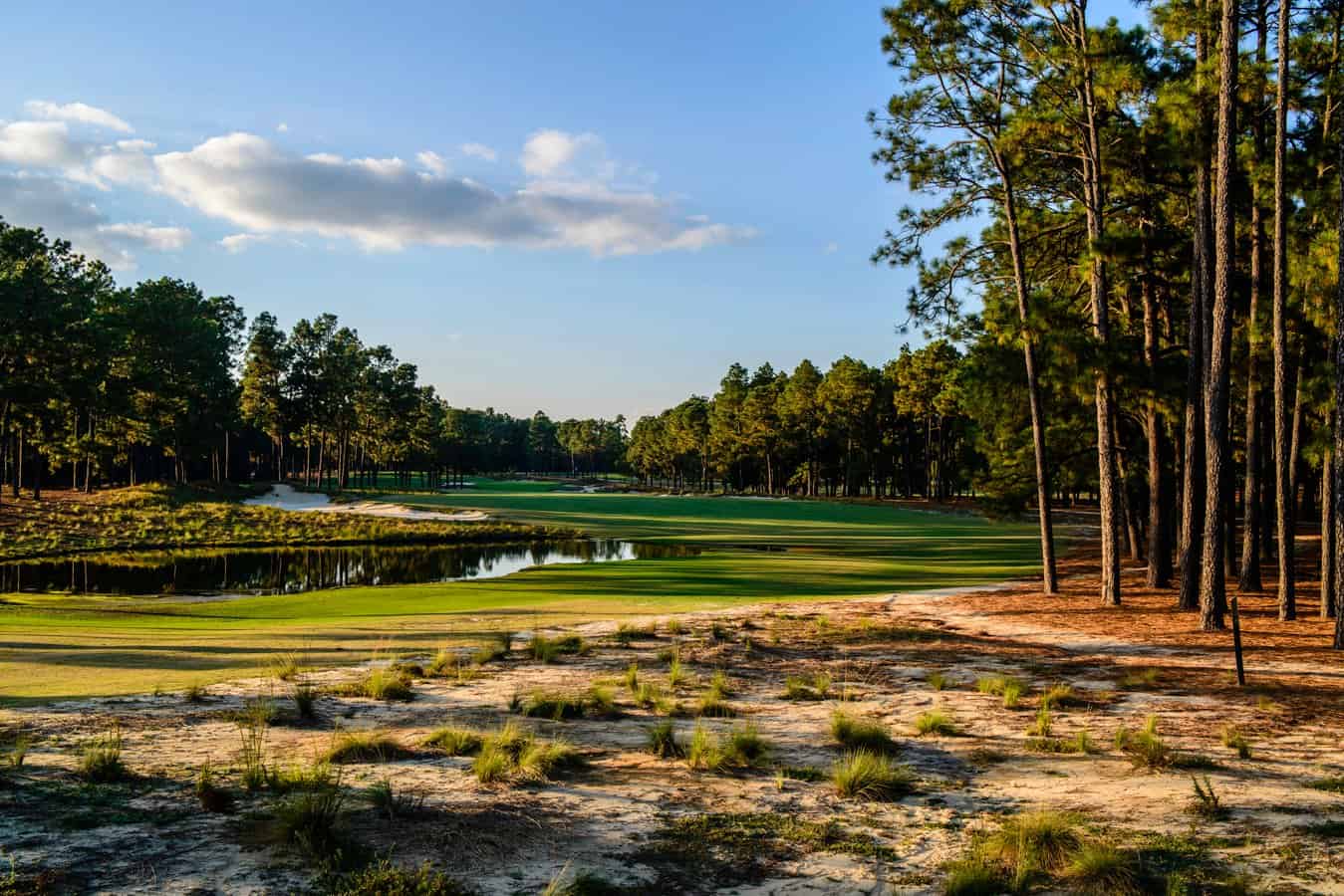 Pinehurst