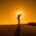 home page 7 Avatar photo