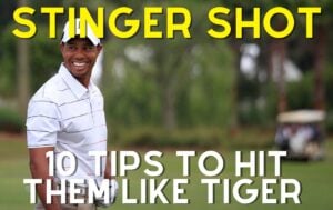 stinger shot, 10 tips to hit them like tiger