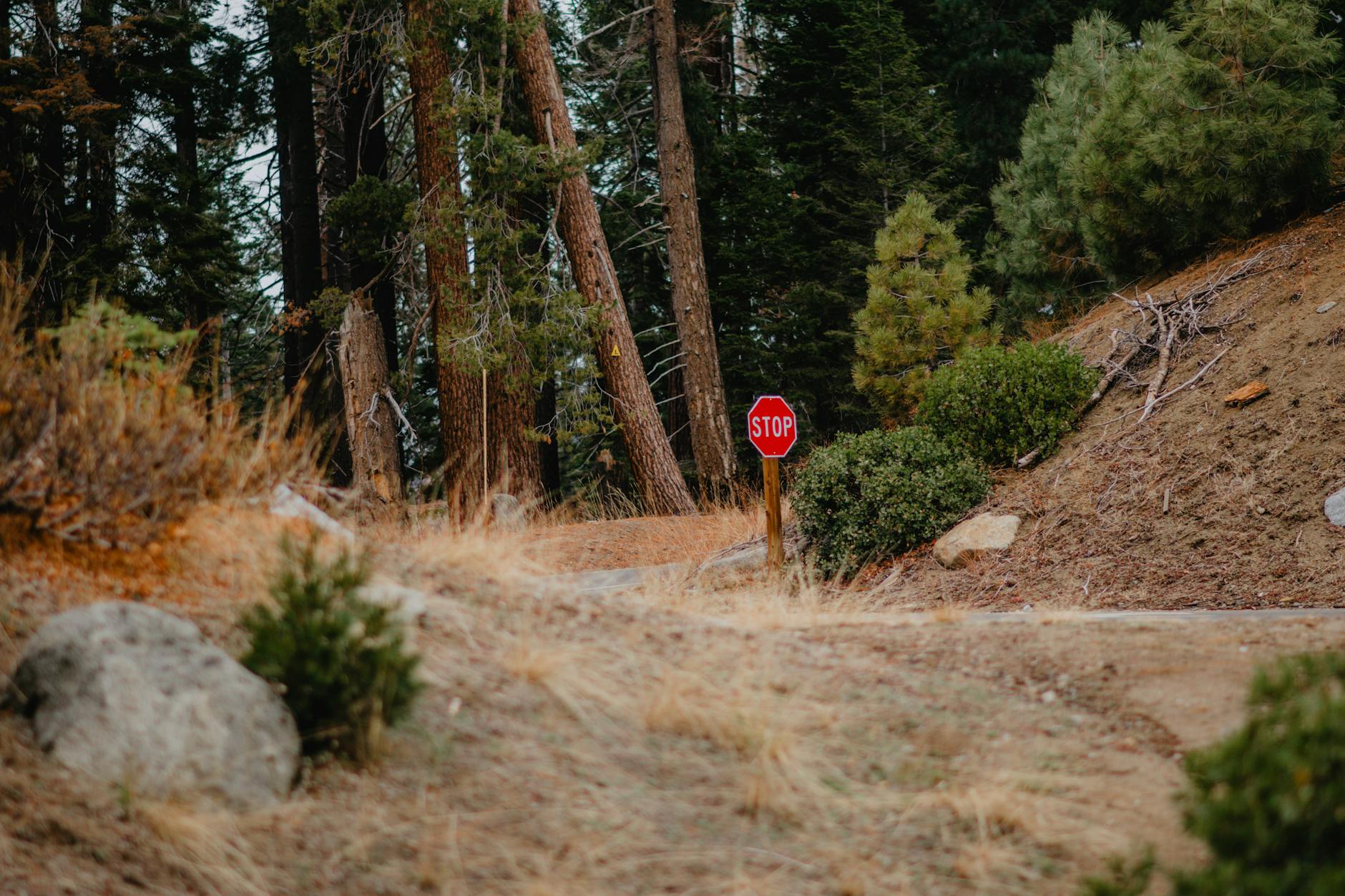 home page 62 How to Stop Hitting It Fat and Thin: Causes, Fixes, and Drills