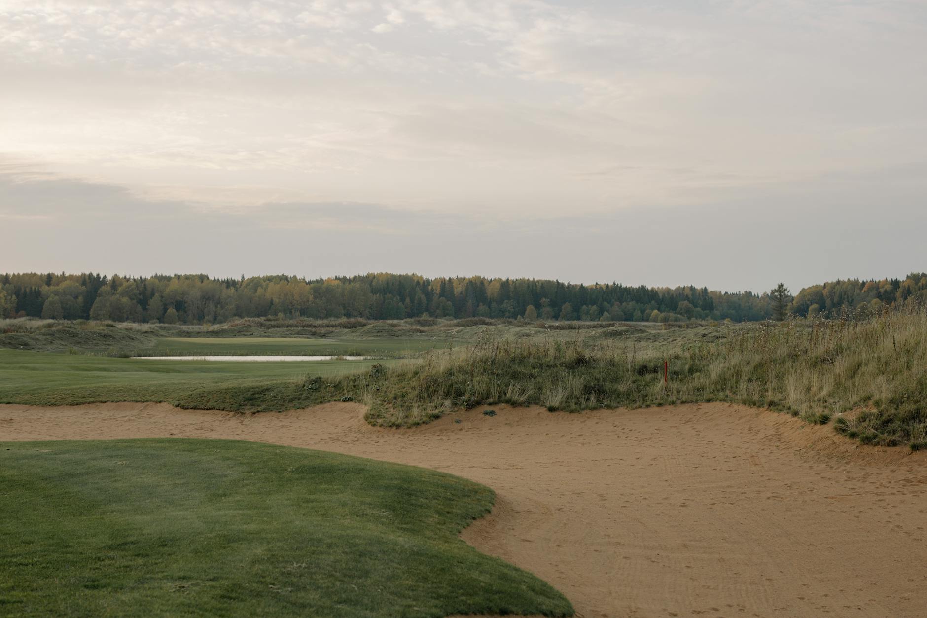 Best Golf Courses in Michigan: A Complete Guide to Great Lakes Golf