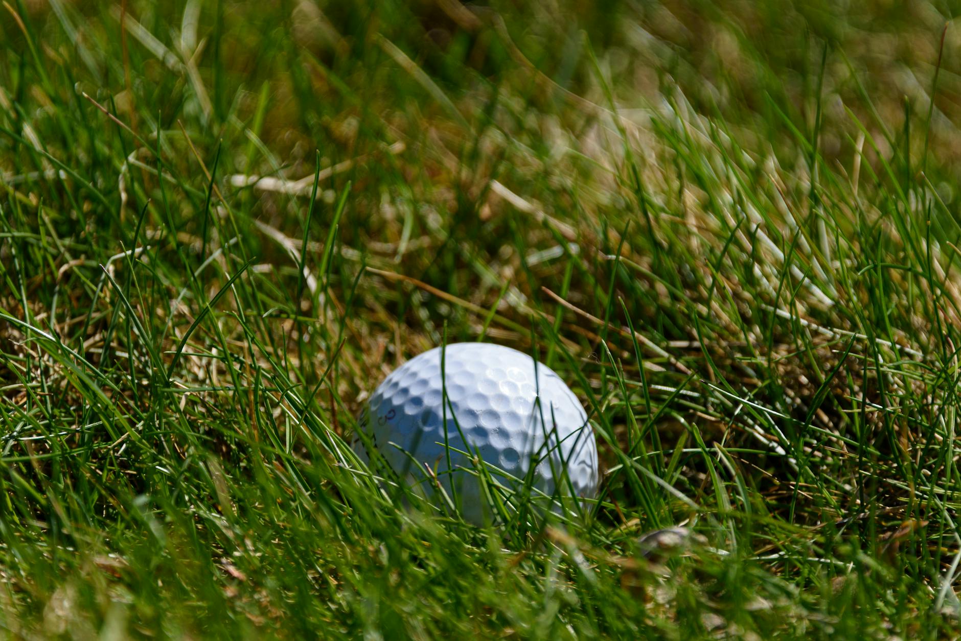 TaylorMade Qi4D vs Titleist GTS: 2026's Biggest Driver Showdown