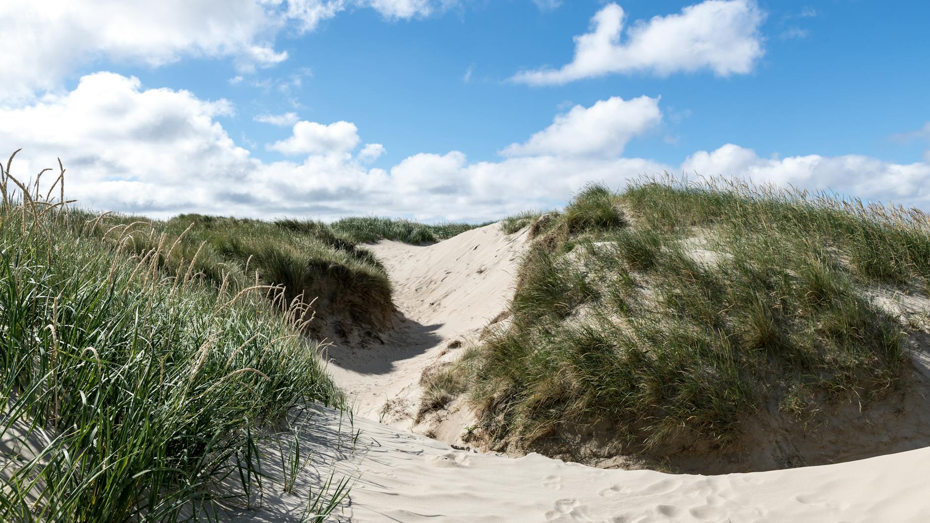 Bandon Dunes Trip Planning: Courses, Cost, Timing, and What to Bring